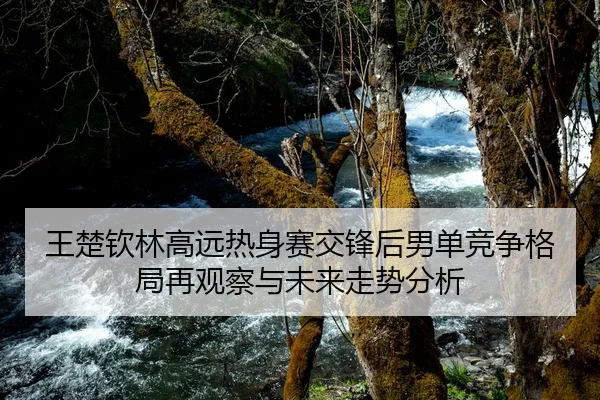 王楚钦林高远热身赛交锋后男单竞争格局再观察与未来走势分析